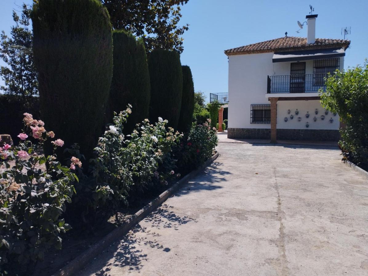 Vivienda Rural Huerta Del Medio Villa Granada Dış mekan fotoğraf